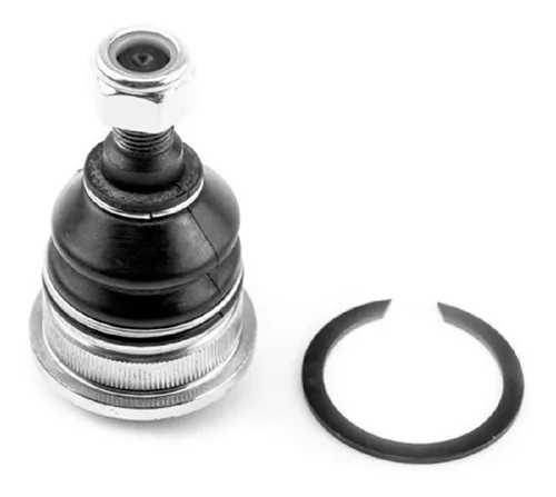 Rotula Inf Verna 04-05