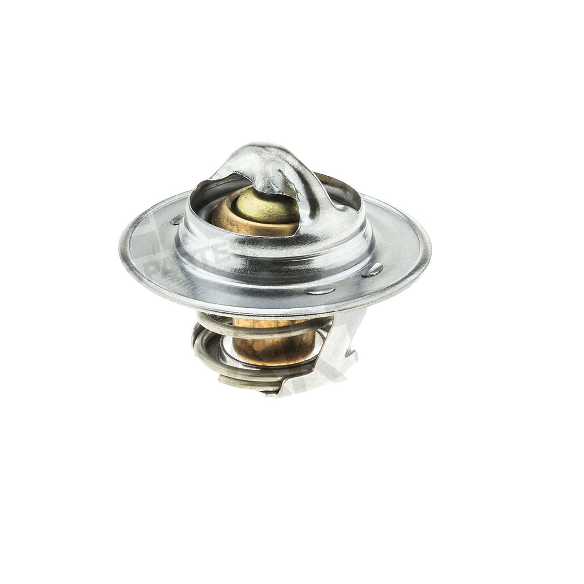 Termostato Platina 02-09