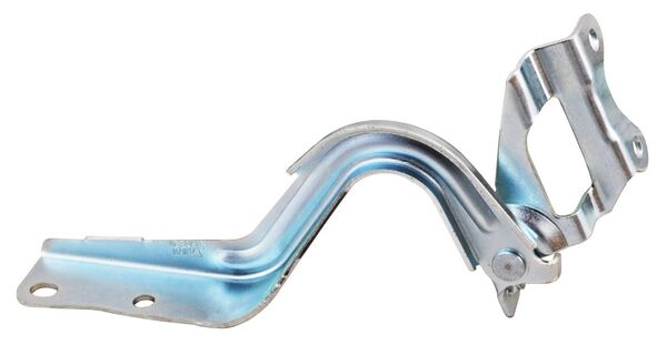 Bisagra Cofre Avanza 2016-2017-2018-2019 Izq