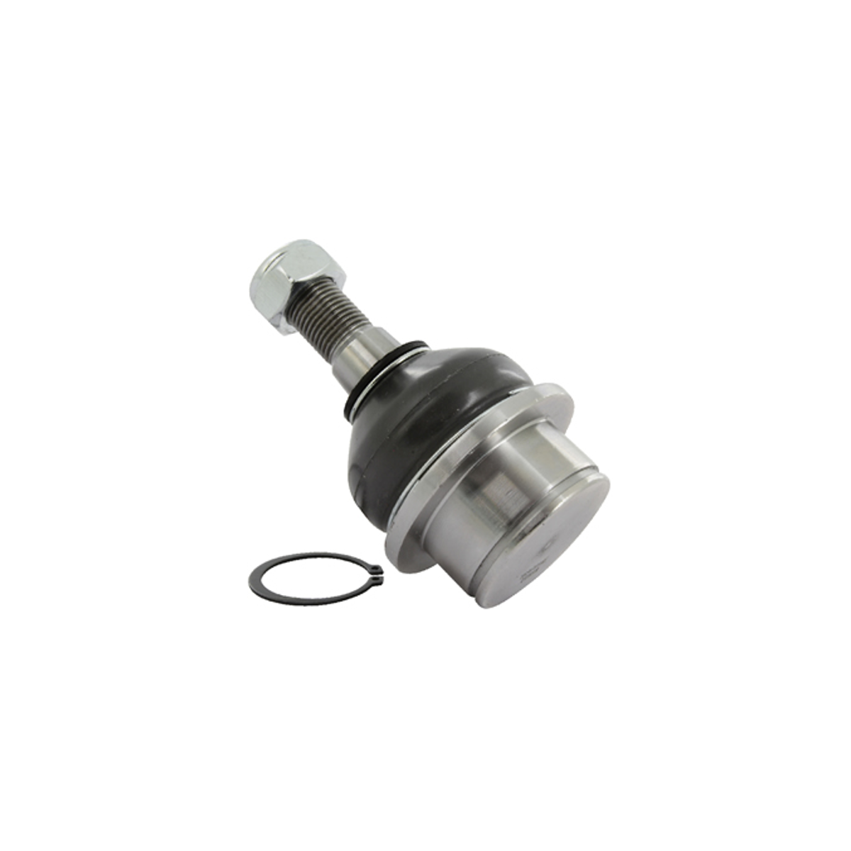 Rotula Inf.Transit 07-09