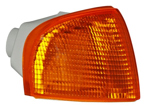 Cuarto Punta Pointer 1998-1999 Ambar Der