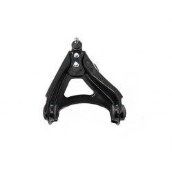 Horquilla Inf Der C/Rotula C/Bujes (Megane-Scenic 01-04/Clio Sport 02-06) Renault Kangoo 1.6L 2004 2018