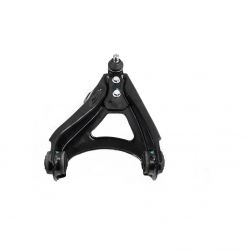 Horquilla Inf Izq C/Rotula C/Bujes (Megane-Scenic 01-04/Clio Sport 02-06) Renault Kangoo 1.6L 2004 2018