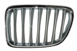 Parrilla Bmw X1 2013-2015 Crom/Plata Izq