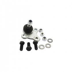 Rotula Inf I Elantra 17-20