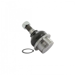 Rotula Inf.Transit 07-09