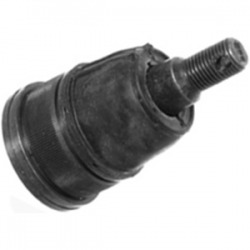 Rotula Inf Civic 01/05