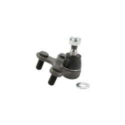 Rotula Inf Civic 16-18