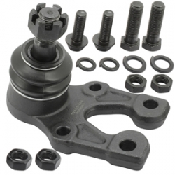 Rotula Inf Hiace 04/18