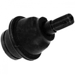 Rotula Inf Explorer 95/05