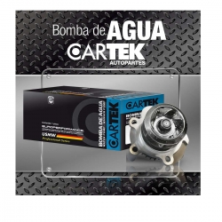 Bomba de agua Ram 700 1.6 16-17