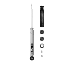 Amortiguador T Platina 02/10