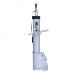 Amortiguador D/I Equinox 05/06