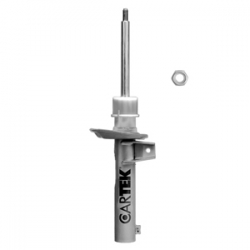 Amortiguador D Bora 05/11