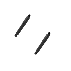 Amortiguador D Internat Prostar 10/16