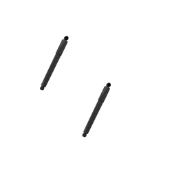 Amortiguador D Interna. Prostar 10/16