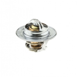 Termostato Platina 02-09
