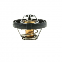 Termostato Neon 95-05