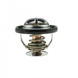 Termostato Ram 1500 03-10
