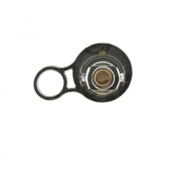 Termostato Mini Cooper 02-09