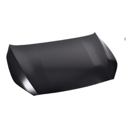 Cofre Ki Forte 19-21 Ex/Lx/Gt Line L4 4 Cilindros 1.6/2.0L 4/5 Puertas