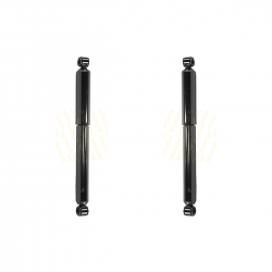 2 Amortiguadores Traseros Uplander 05-09 Monroe