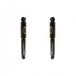 2 Amortiguadores Traseros H100 05-10 Monroe