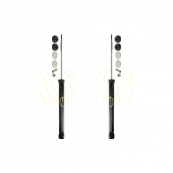2 Amortiguadores Traseros Duster 13-16 Monroe