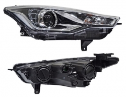 Faro Alsvin 2022-2023-2024 230728 Der