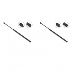 2 Amortiguadores Cajuela Renault Clio 02-10 Stb