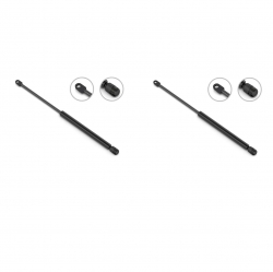 2 Amortiguadores Cajuela Pontiac Firebird 93-01 Stb