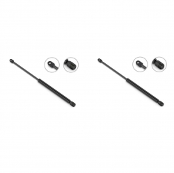 2 Amortiguadores Cajuela Pontiac Firebird 93-02 Stb