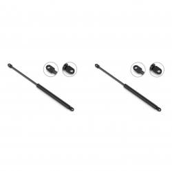 2 Amortiguadores Cajuela Chrysler Lebaron 1982 Stb