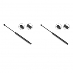 2 Amortiguadores Cajuela Nissan Murano 03-04 Stb