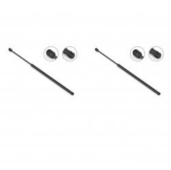 2 Amortiguadores Cajuela Renault Scenic 01-04 Stb