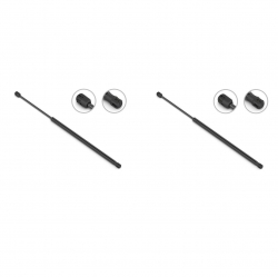 2 Amortiguadores Cajuela Hyundai Entourage 07-08 Stb