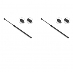 2 Amortiguadores Cajuela Fiat Palio 07-08 Stb