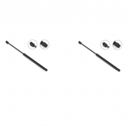 2 Amortiguadores Cofre Ford Expedition 97-06 Stb