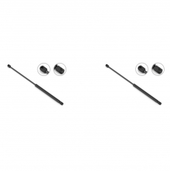 2 Amortiguadores Cofre Buick Rendezvous 02-07 Stb