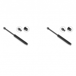 2 Amortiguadores Cofre Buick Riviera 79-85 Stb