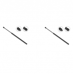 2 Amortiguadores Cofre Pontiac Firebird 93-02 Stb