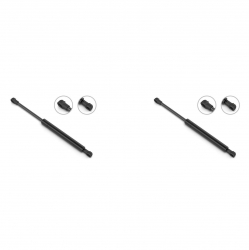 2 Amortiguadores Cofre Bmw X5 00-06 Stb