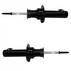 2 Amortiguadores Delanteros Commander 06-10 Cartek