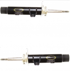 2 Amortiguadores Delanteros Dakota 05-09 Cartek