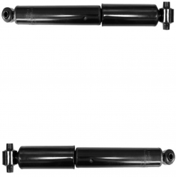 2 Amortiguadores Traseros Rogue 08-20 Cartek