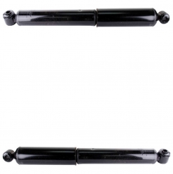 2 Amortiguadores Traseros Frontier 05-19 Cartek 