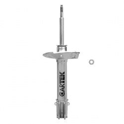 2 Amortiguadores Traseros Neon 95-99 Cartek