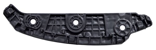 Guia Fascia Del Dolphin 2024 2025 Izq