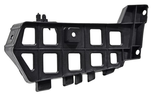 Guia Fascia Tras Dolphin 2024 2025 Inf Der