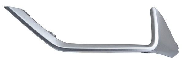 Moldura Fascia Tras Territory 2023 2024 2025 Plata 288 Der